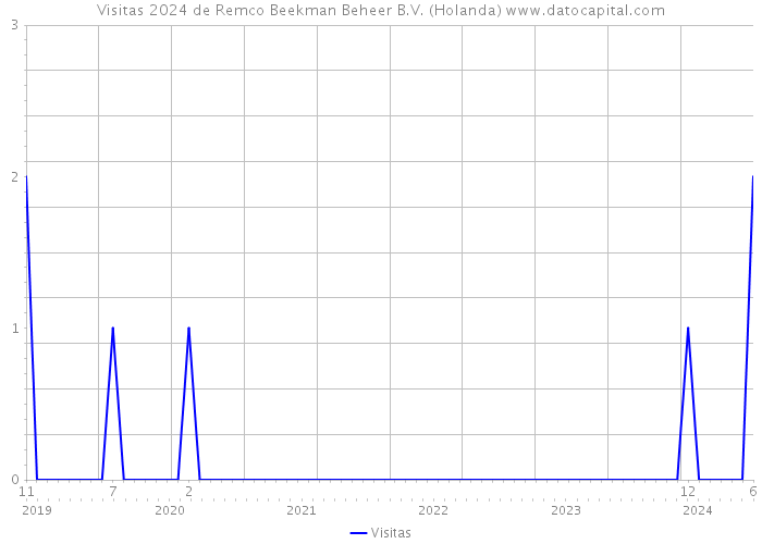 Visitas 2024 de Remco Beekman Beheer B.V. (Holanda) 