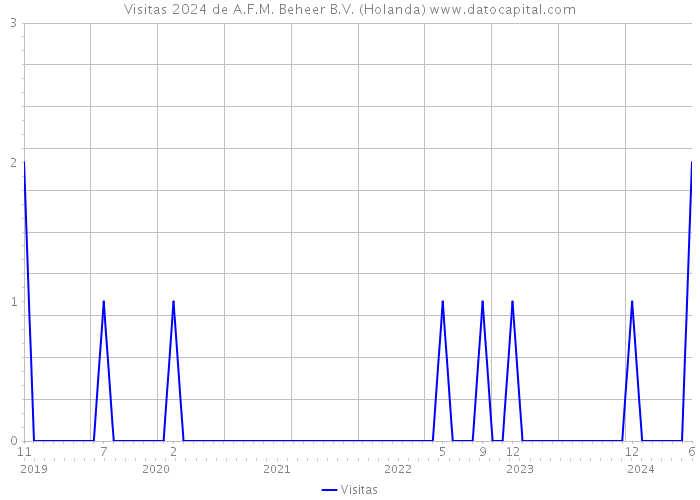 Visitas 2024 de A.F.M. Beheer B.V. (Holanda) 