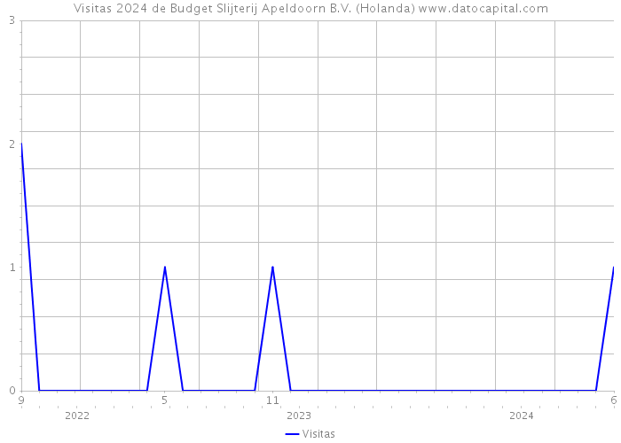 Visitas 2024 de Budget Slijterij Apeldoorn B.V. (Holanda) 