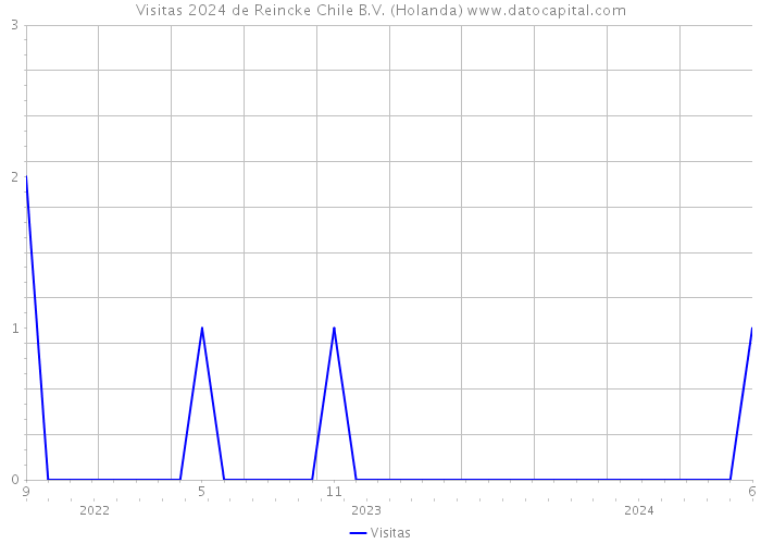 Visitas 2024 de Reincke Chile B.V. (Holanda) 