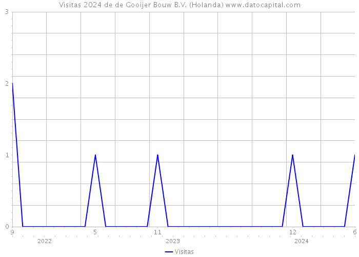 Visitas 2024 de de Gooijer Bouw B.V. (Holanda) 