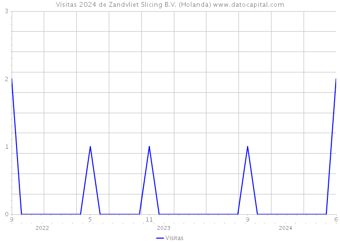 Visitas 2024 de Zandvliet Slicing B.V. (Holanda) 