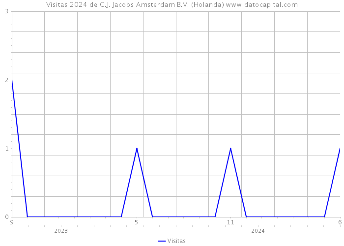Visitas 2024 de C.J. Jacobs Amsterdam B.V. (Holanda) 