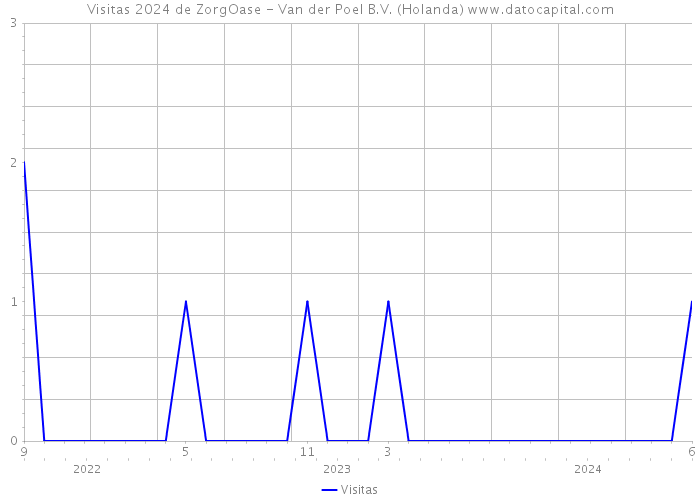 Visitas 2024 de ZorgOase - Van der Poel B.V. (Holanda) 