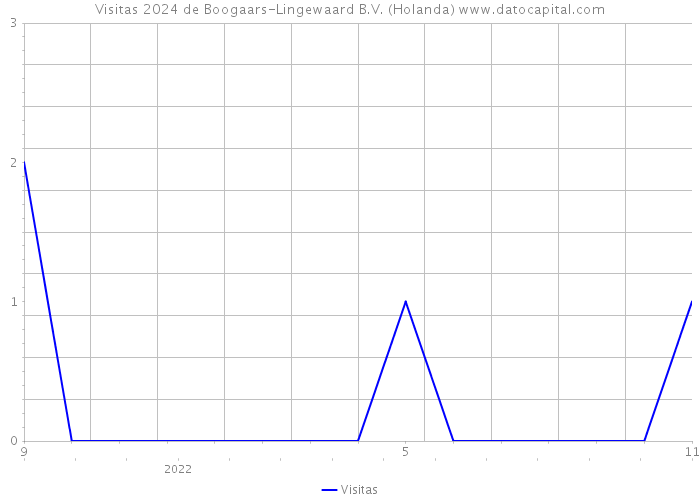 Visitas 2024 de Boogaars-Lingewaard B.V. (Holanda) 