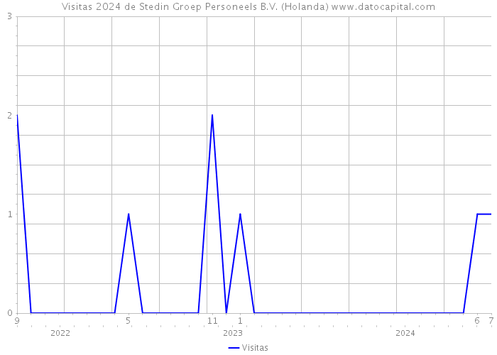 Visitas 2024 de Stedin Groep Personeels B.V. (Holanda) 