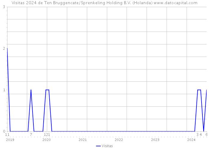 Visitas 2024 de Ten Bruggencate/Sprenkeling Holding B.V. (Holanda) 