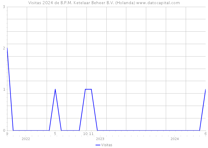 Visitas 2024 de B.P.M. Ketelaar Beheer B.V. (Holanda) 