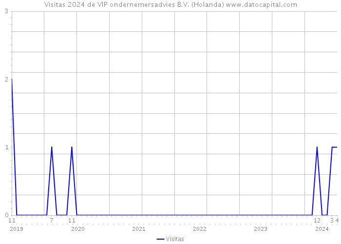 Visitas 2024 de VIP ondernemersadvies B.V. (Holanda) 