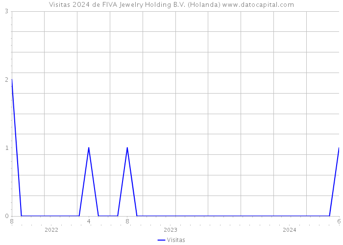 Visitas 2024 de FIVA Jewelry Holding B.V. (Holanda) 