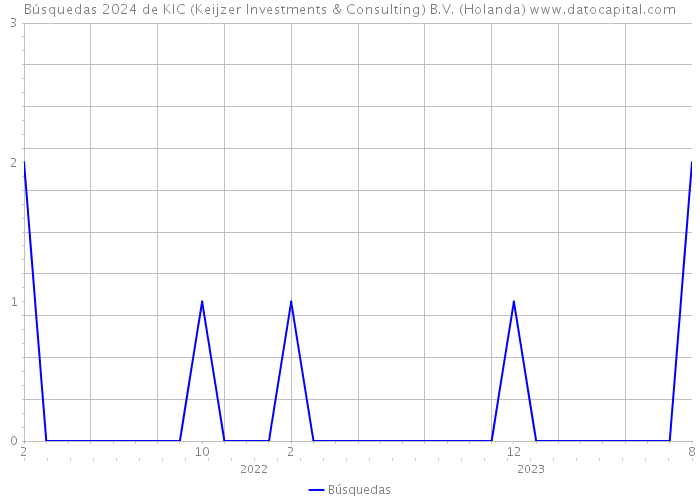 Búsquedas 2024 de KIC (Keijzer Investments & Consulting) B.V. (Holanda) 