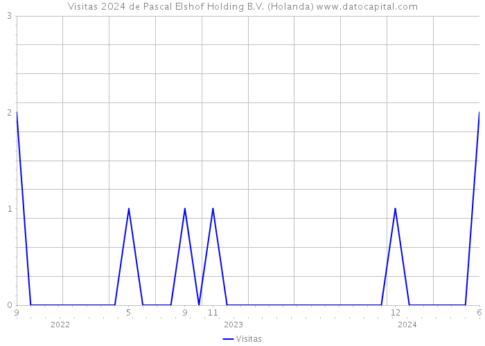 Visitas 2024 de Pascal Elshof Holding B.V. (Holanda) 