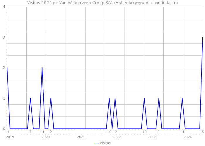 Visitas 2024 de Van Walderveen Groep B.V. (Holanda) 