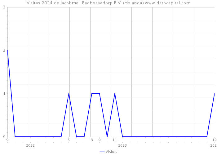 Visitas 2024 de Jacobmeij Badhoevedorp B.V. (Holanda) 