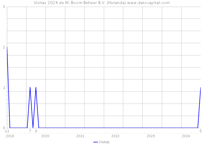 Visitas 2024 de M. Boom Beheer B.V. (Holanda) 