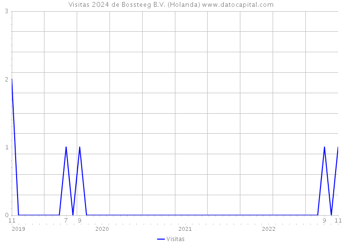 Visitas 2024 de Bossteeg B.V. (Holanda) 