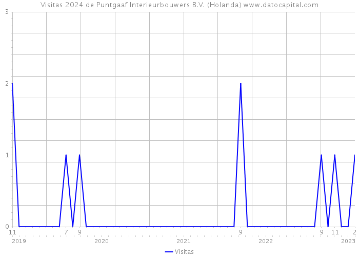 Visitas 2024 de Puntgaaf Interieurbouwers B.V. (Holanda) 