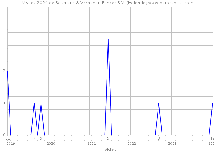 Visitas 2024 de Boumans & Verhagen Beheer B.V. (Holanda) 