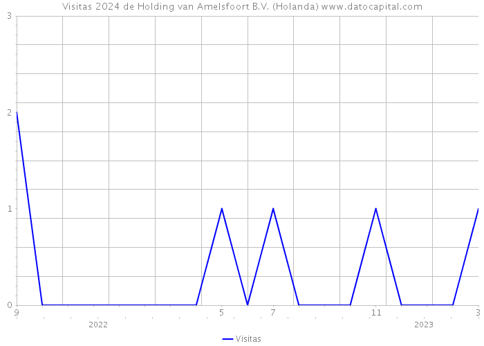 Visitas 2024 de Holding van Amelsfoort B.V. (Holanda) 