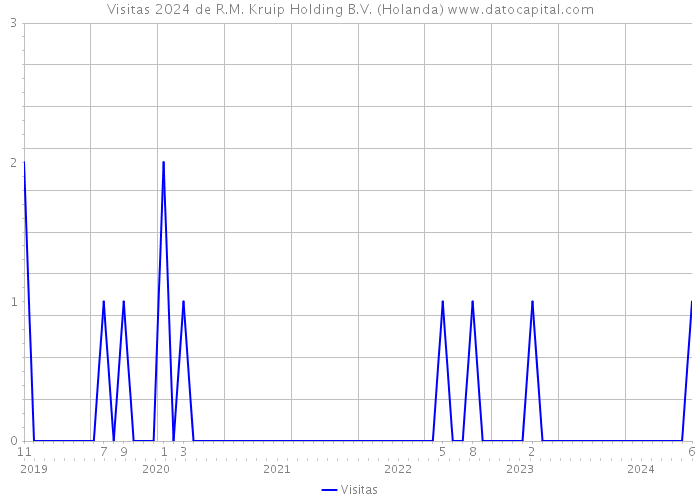 Visitas 2024 de R.M. Kruip Holding B.V. (Holanda) 