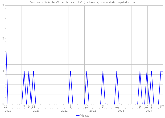 Visitas 2024 de Witte Beheer B.V. (Holanda) 