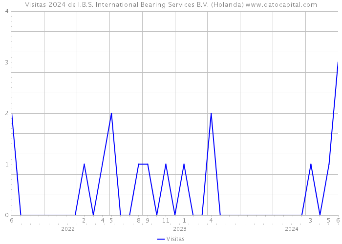 Visitas 2024 de I.B.S. International Bearing Services B.V. (Holanda) 