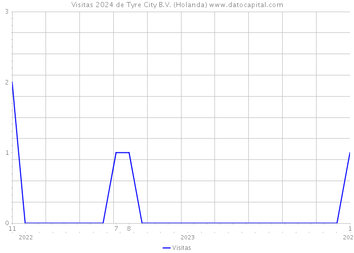 Visitas 2024 de Tyre City B.V. (Holanda) 