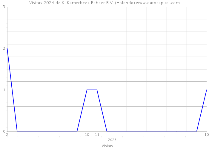 Visitas 2024 de K. Kamerbeek Beheer B.V. (Holanda) 