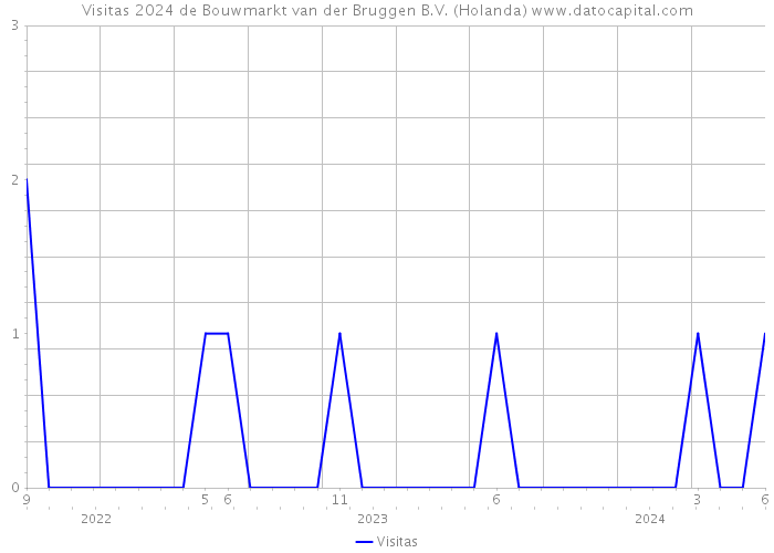 Visitas 2024 de Bouwmarkt van der Bruggen B.V. (Holanda) 
