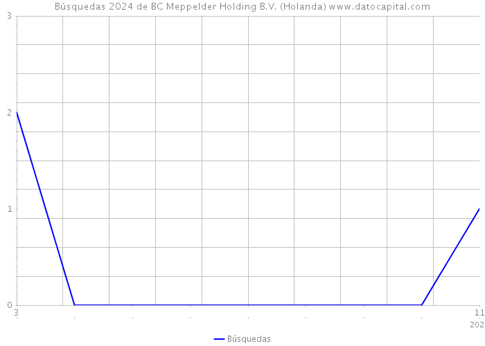 Búsquedas 2024 de BC Meppelder Holding B.V. (Holanda) 