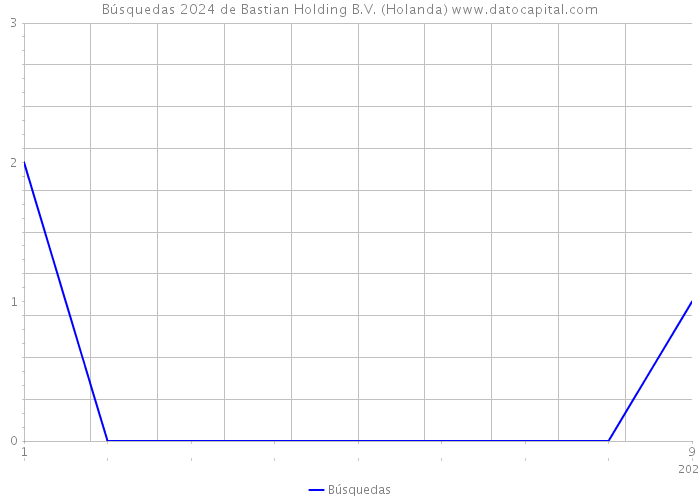Búsquedas 2024 de Bastian Holding B.V. (Holanda) 