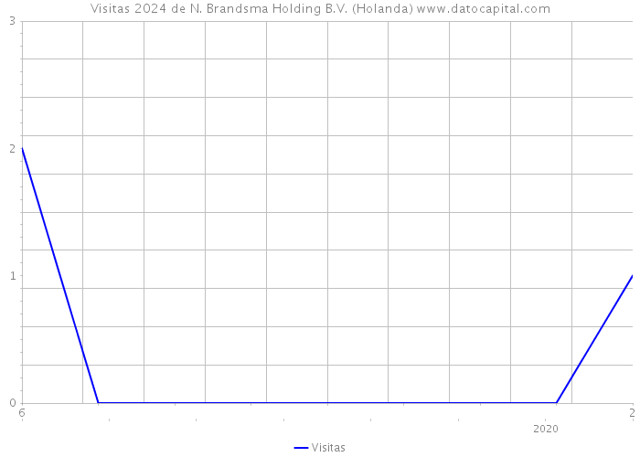 Visitas 2024 de N. Brandsma Holding B.V. (Holanda) 