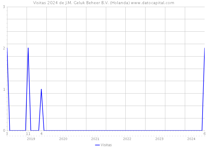 Visitas 2024 de J.M. Geluk Beheer B.V. (Holanda) 