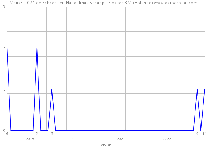 Visitas 2024 de Beheer- en Handelmaatschappij Blokker B.V. (Holanda) 