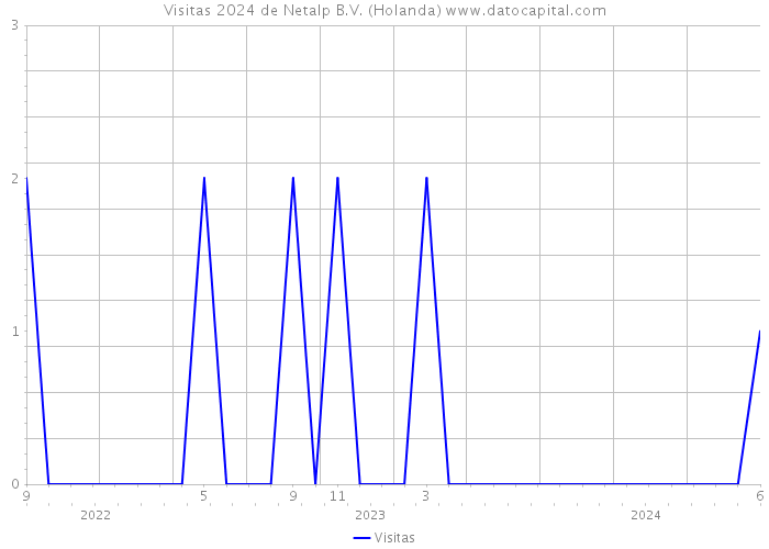 Visitas 2024 de Netalp B.V. (Holanda) 