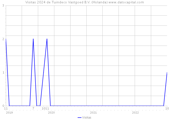 Visitas 2024 de Tuindeco Vastgoed B.V. (Holanda) 