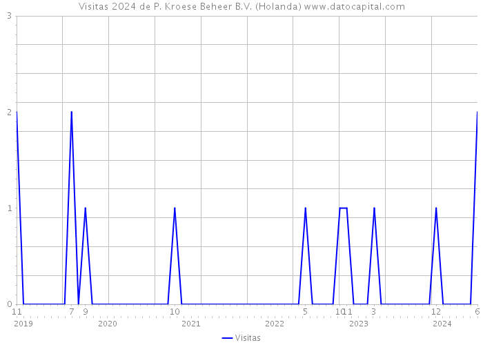 Visitas 2024 de P. Kroese Beheer B.V. (Holanda) 