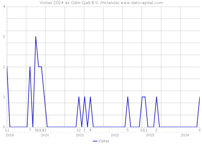 Visitas 2024 de Odin Gjalt B.V. (Holanda) 