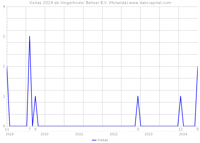 Visitas 2024 de Vingerhoets' Beheer B.V. (Holanda) 