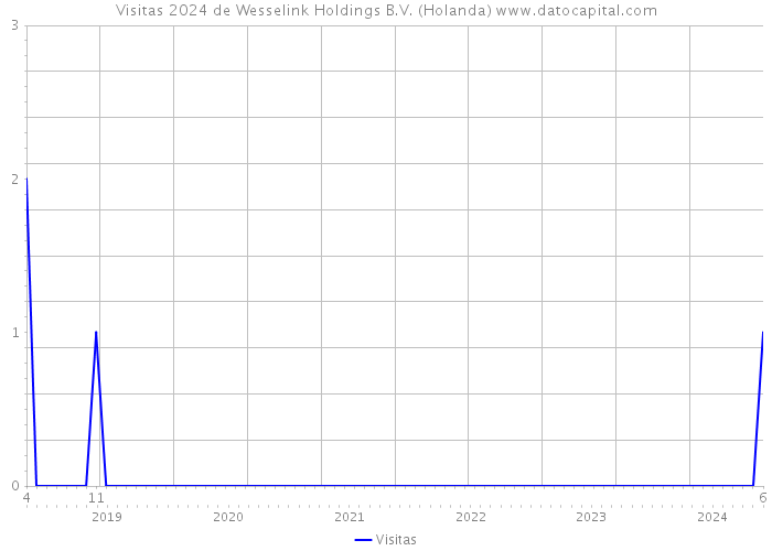 Visitas 2024 de Wesselink Holdings B.V. (Holanda) 