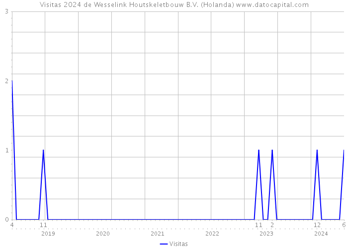 Visitas 2024 de Wesselink Houtskeletbouw B.V. (Holanda) 