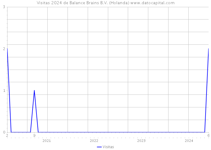 Visitas 2024 de Balance Brains B.V. (Holanda) 