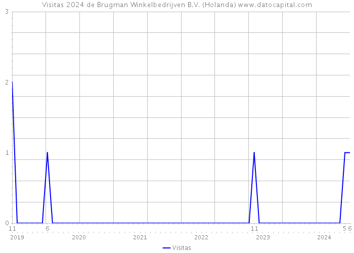 Visitas 2024 de Brugman Winkelbedrijven B.V. (Holanda) 