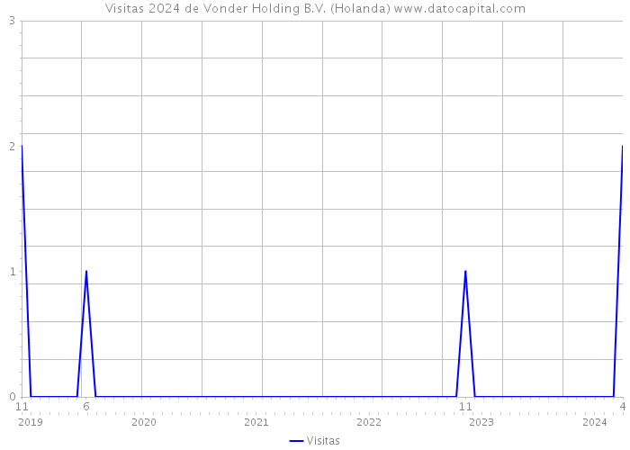 Visitas 2024 de Vonder Holding B.V. (Holanda) 