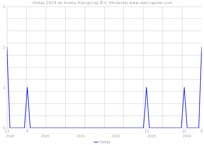 Visitas 2024 de Avenu Autogroep B.V. (Holanda) 