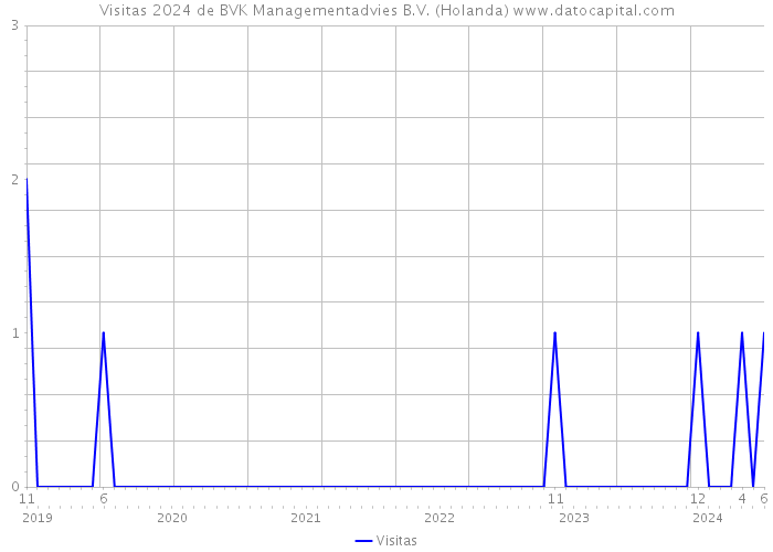 Visitas 2024 de BVK Managementadvies B.V. (Holanda) 