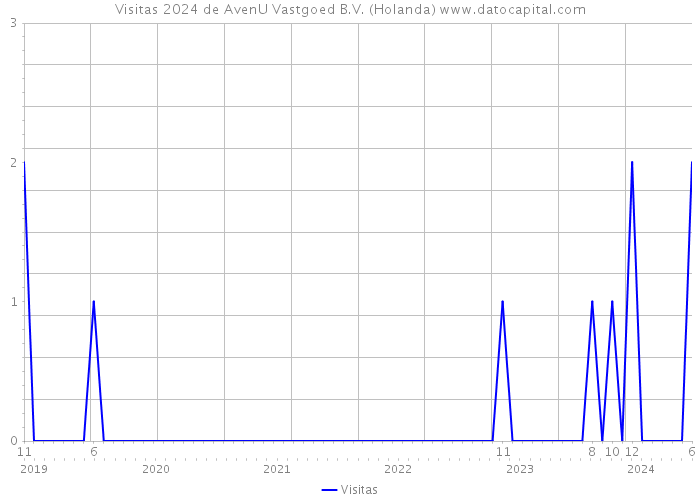 Visitas 2024 de AvenU Vastgoed B.V. (Holanda) 