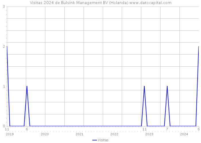 Visitas 2024 de Bulsink Management BV (Holanda) 