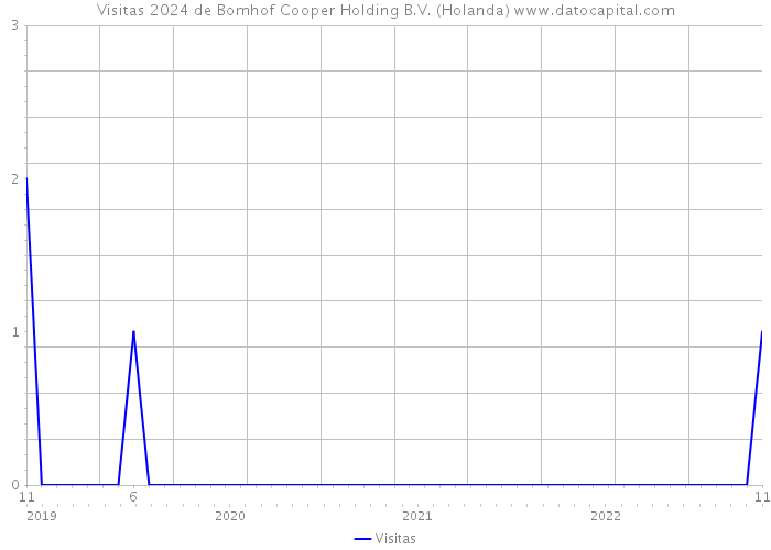 Visitas 2024 de Bomhof Cooper Holding B.V. (Holanda) 
