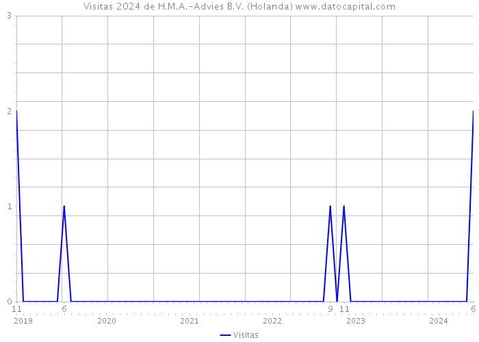 Visitas 2024 de H.M.A.-Advies B.V. (Holanda) 